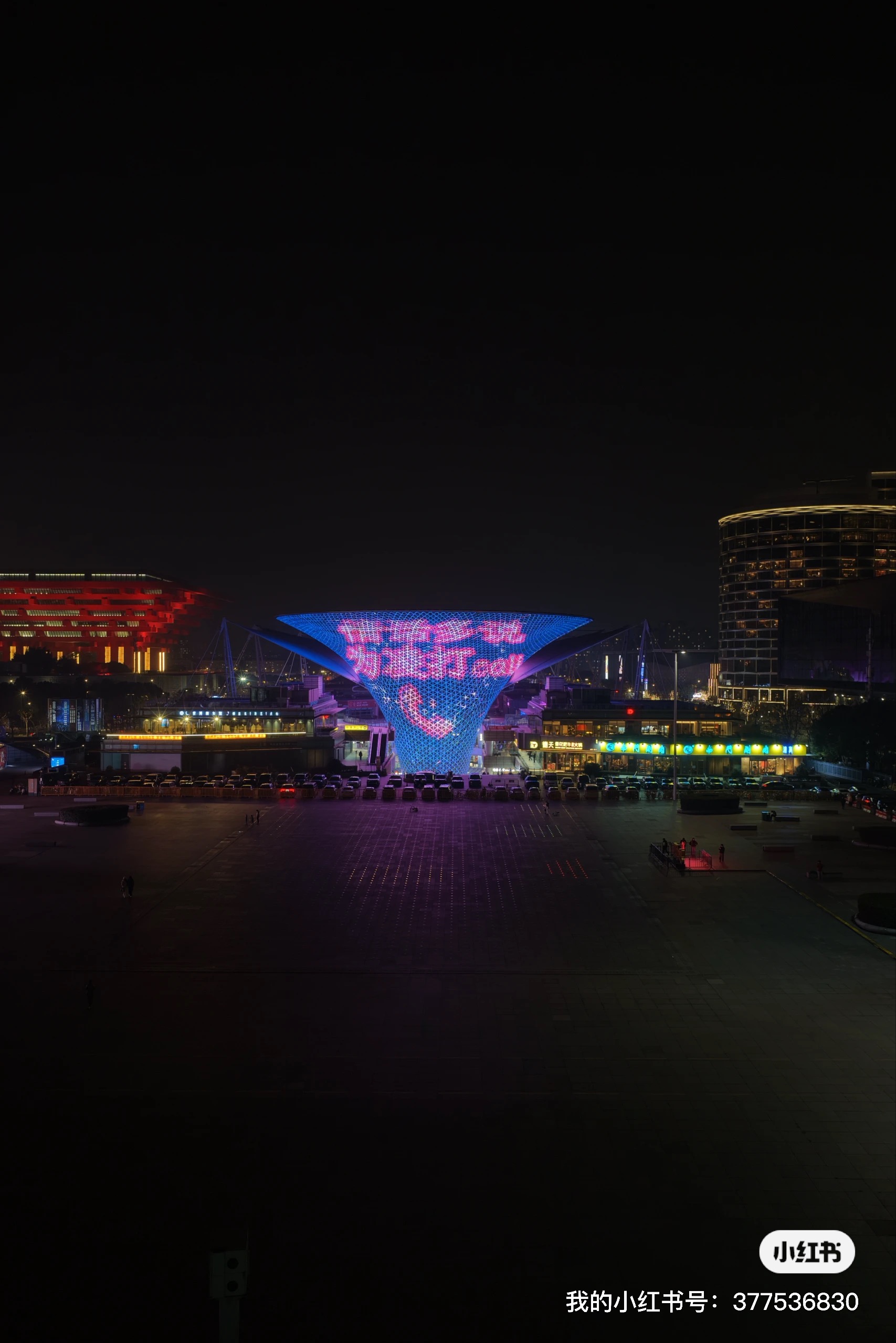 Expo Screen