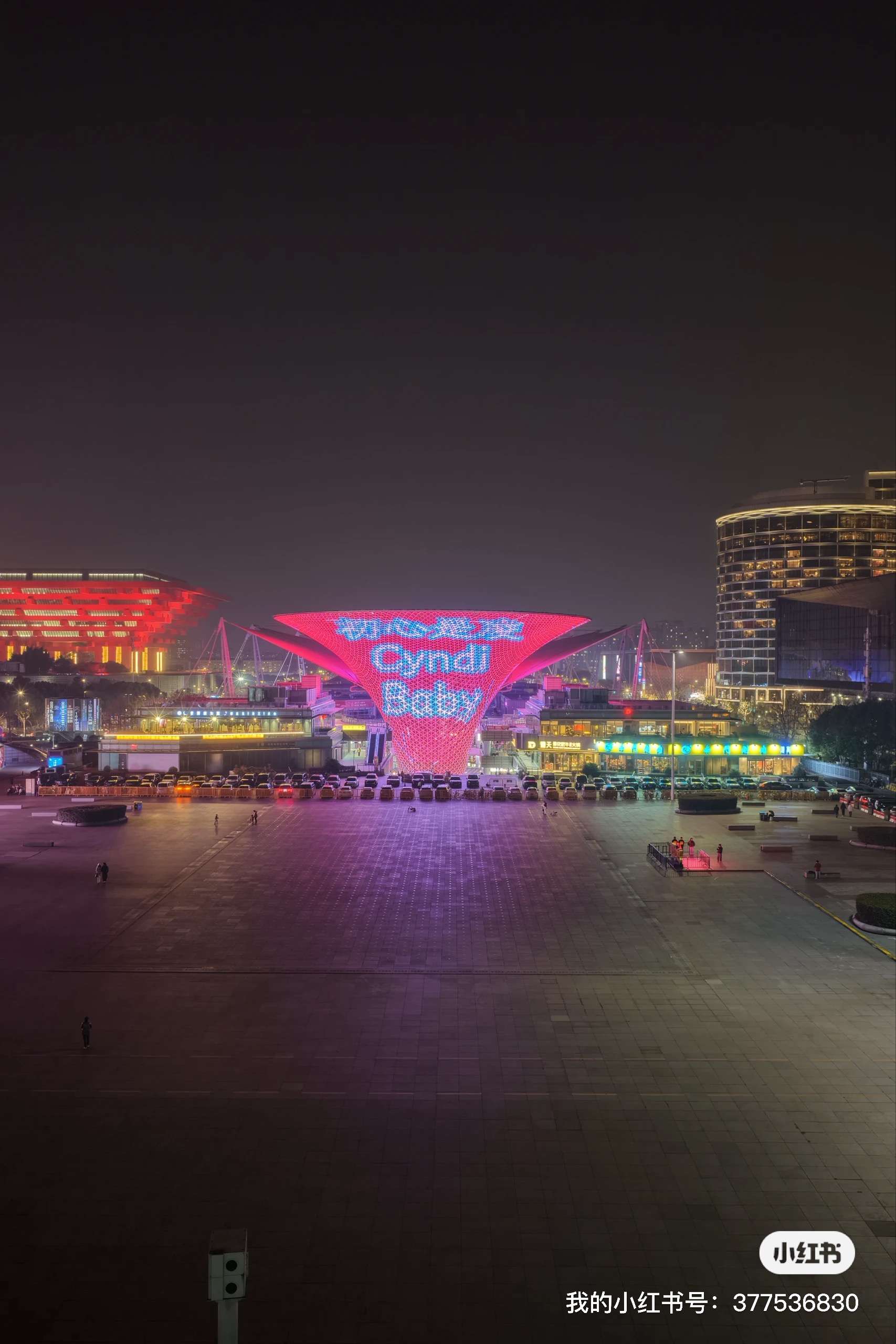 Expo Screen